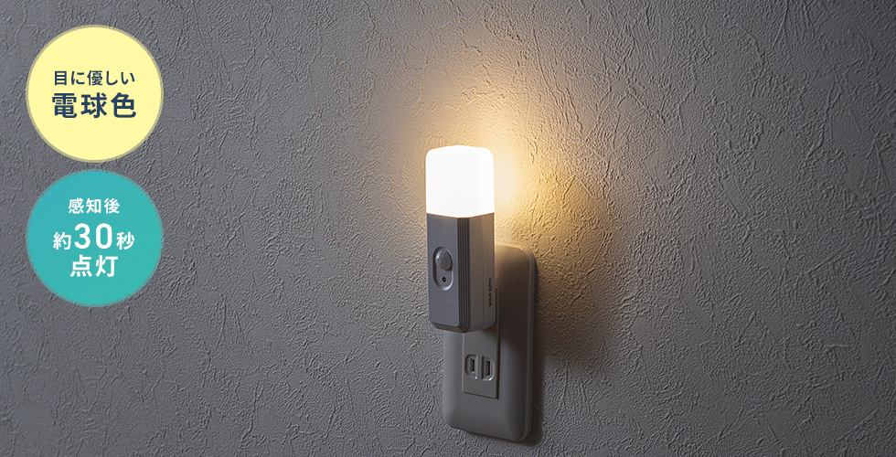 LED-SL2の画像