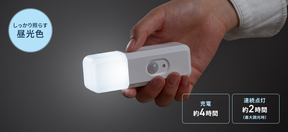 LED-SL2の画像
