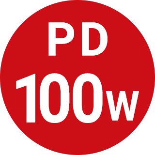 PD100W
