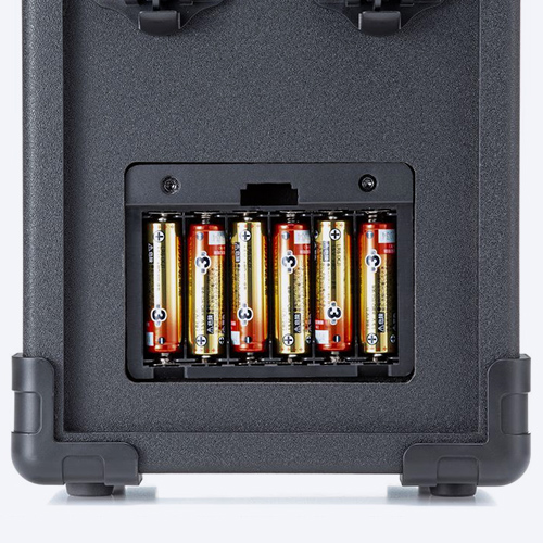 MM-SPAMP21の製品画像