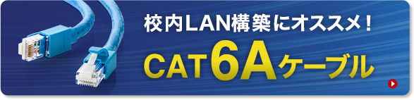 校内LAN構築にオススメ！CAT6Aケーブル