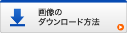 画像のダウンロード方法