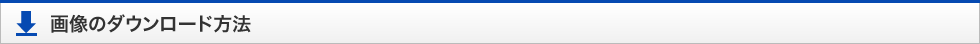 画像のダウンロードの方法