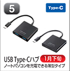 USB Type-Cハブ