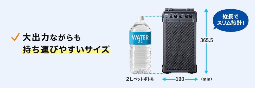 MM-SPAMP21の画像
