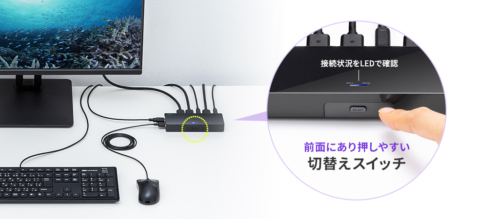 SW-KVM2DPUUSの画像