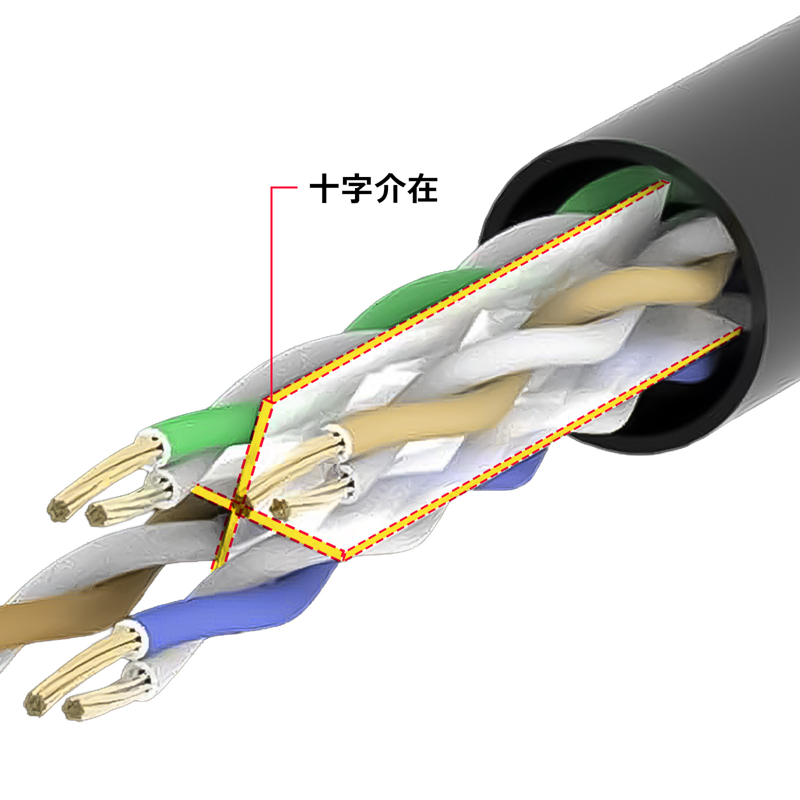 KB-T6AY-005Pの画像