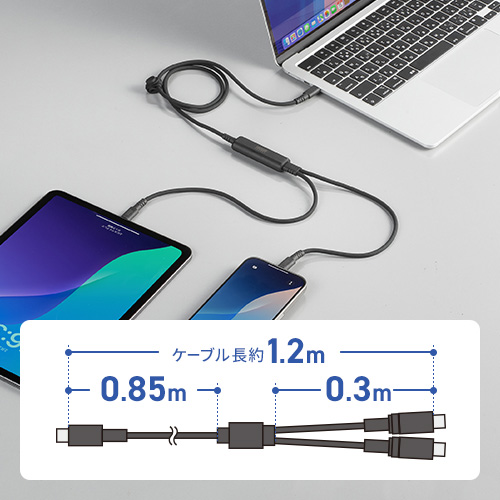 KU-CCP100D12BKの画像