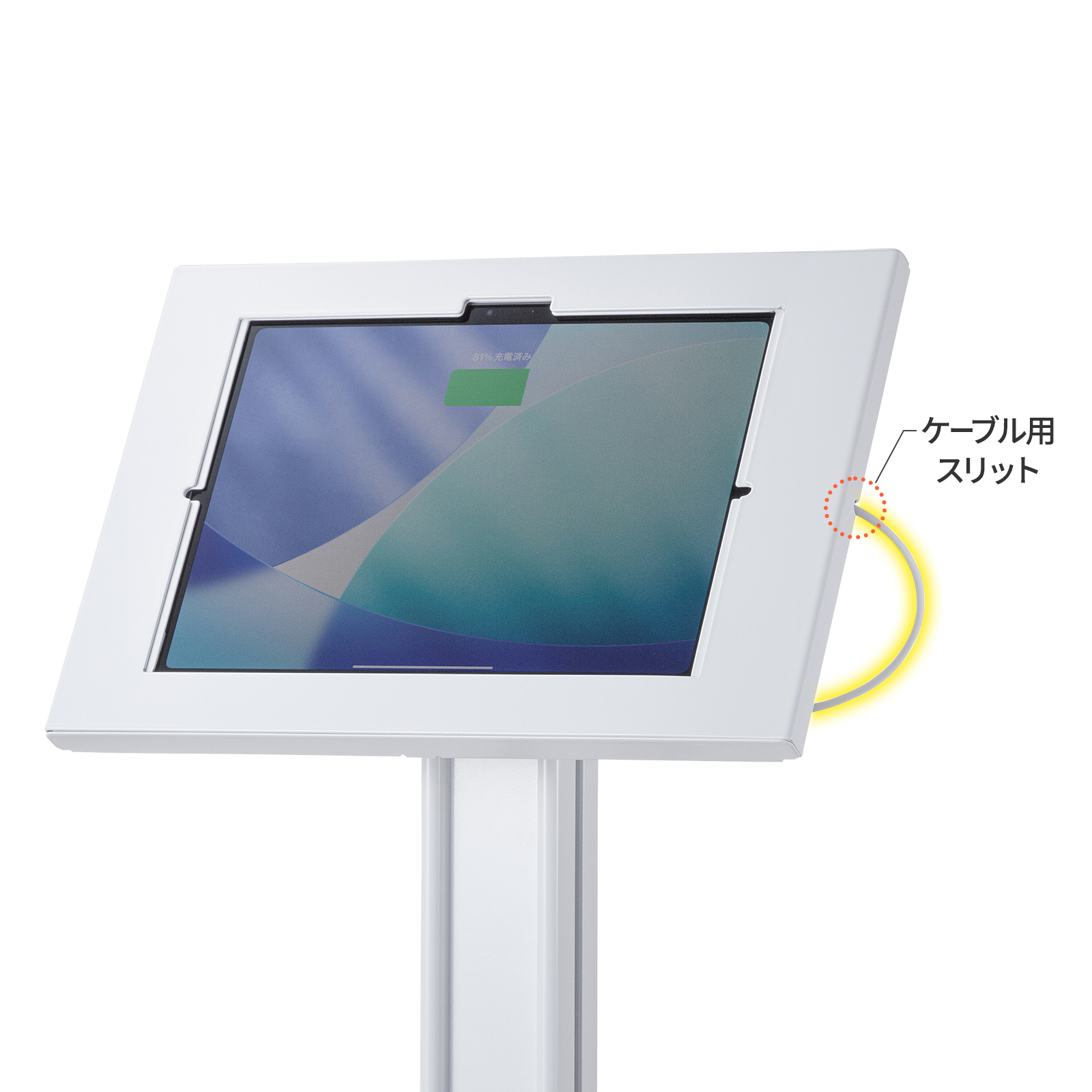 CR-LASTIP37の画像