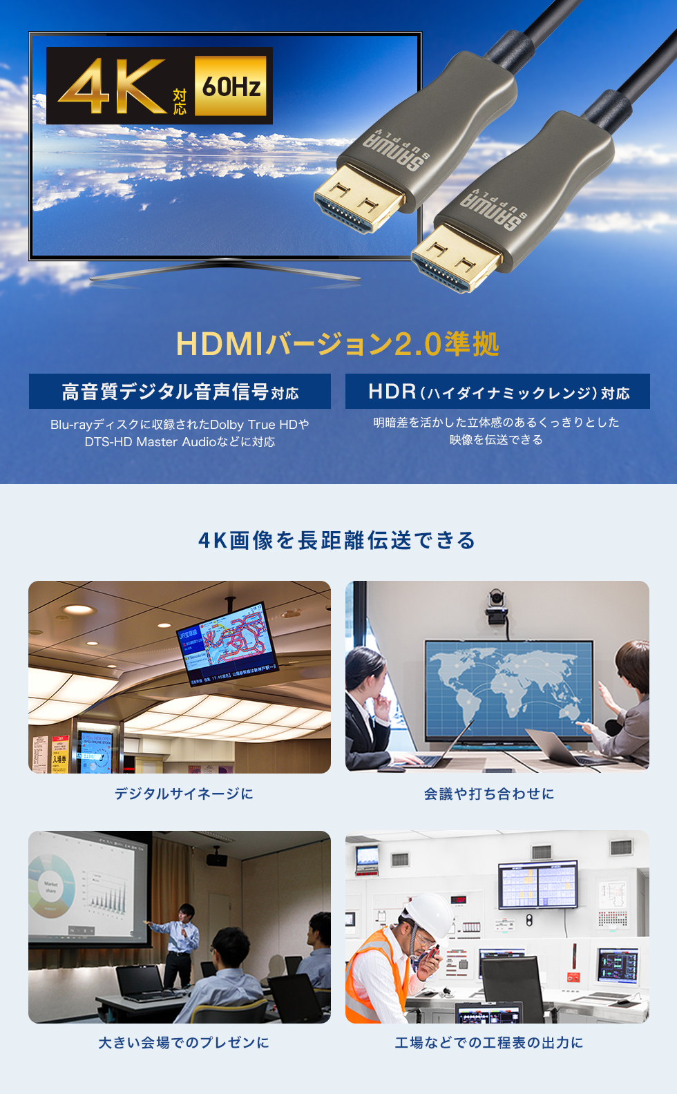 KM-HD20-PFB10Lの画像