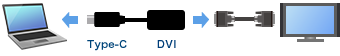 USB Type-C DVI