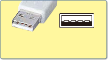 USB1.1 A（オス）