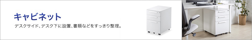 キャビネット　デスクサイド、デスク下に設置、書類などをすっきり整理。(RAC-SLUSB40KN,SNW-098N2)