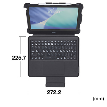 SKB-IP9BK