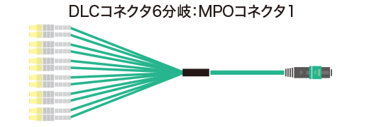 DLCコネクタ6分岐：MPOコネクタ1