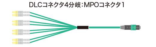 DLCコネクタ4分岐：MPOコネクタ1