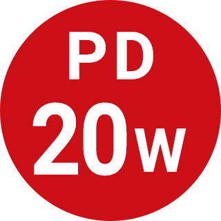 PD20W