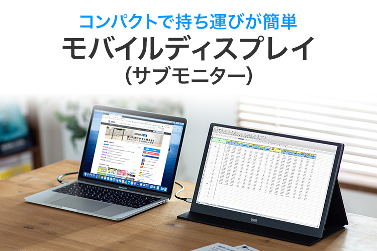 サンワサプライ　モバイルディスプレイ