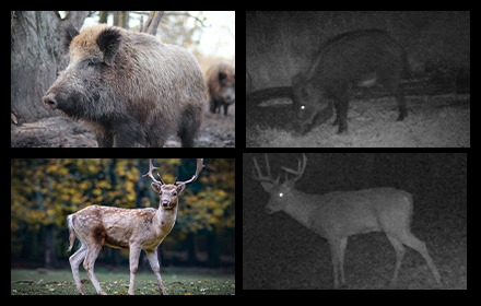 鳥獣被害対策に