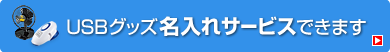 USBTOY名入れサービスできます。（USB-TOY82BK）