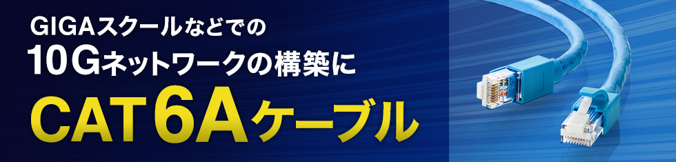 CAT6Aケーブルとは