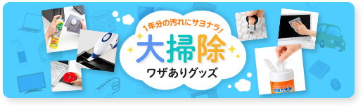 大掃除ワケありグッズ