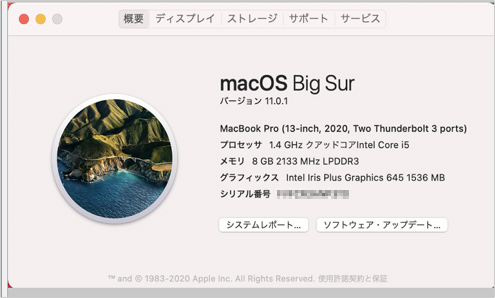 macOSのバージョンが11.0（Big Sur）かどうか確認します
