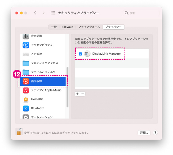 プライバシータブの「画面収録」を開き、下記のように「DisplayLink Manager」にチェックを入れください